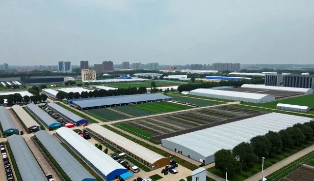 业务涉及领域中常见问题与处理方法解析